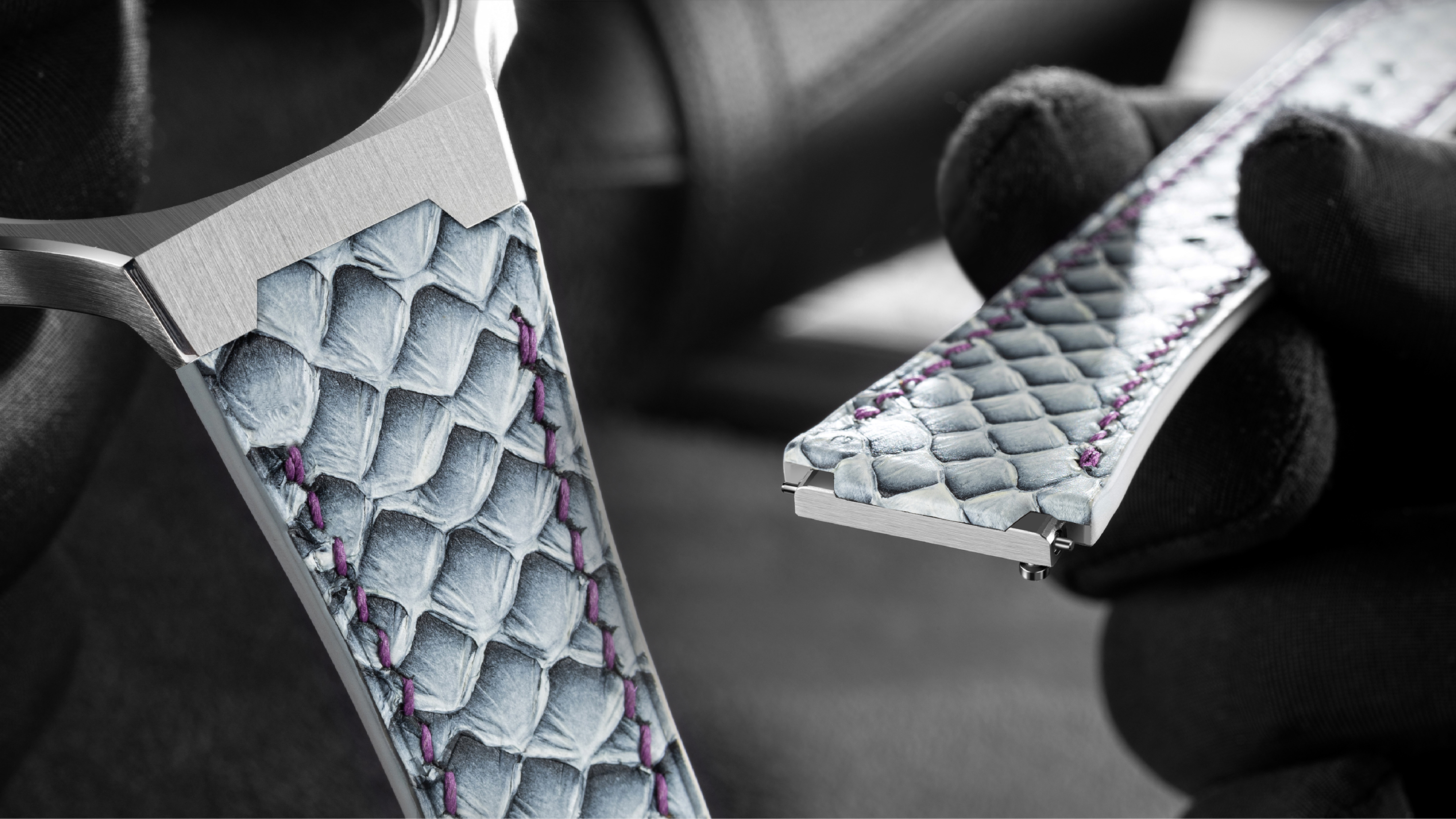 JEAYOU STRAPS product 5