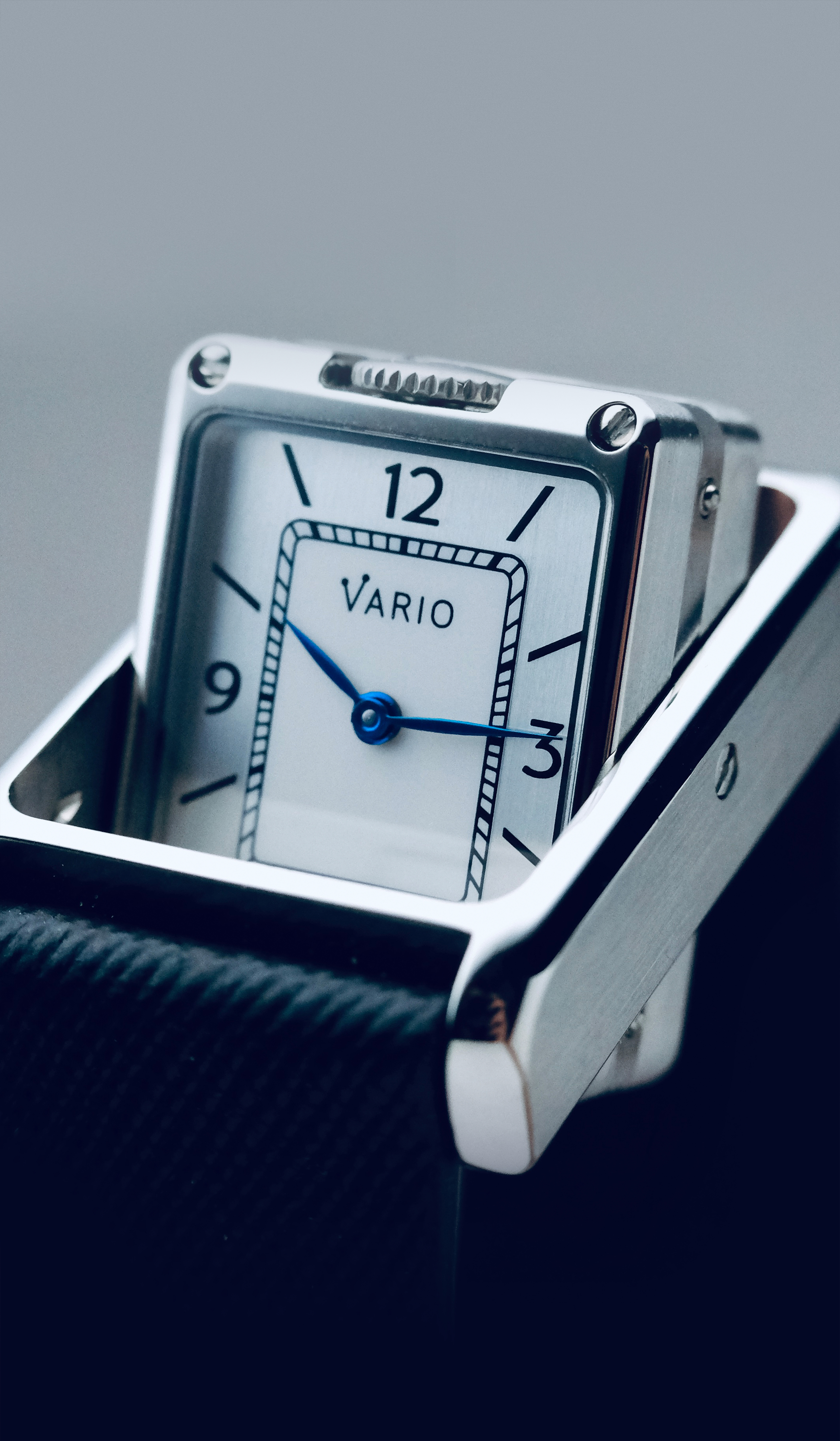 Vario (I would love to use the 10 years logo for the banner at the show if possible) product 2