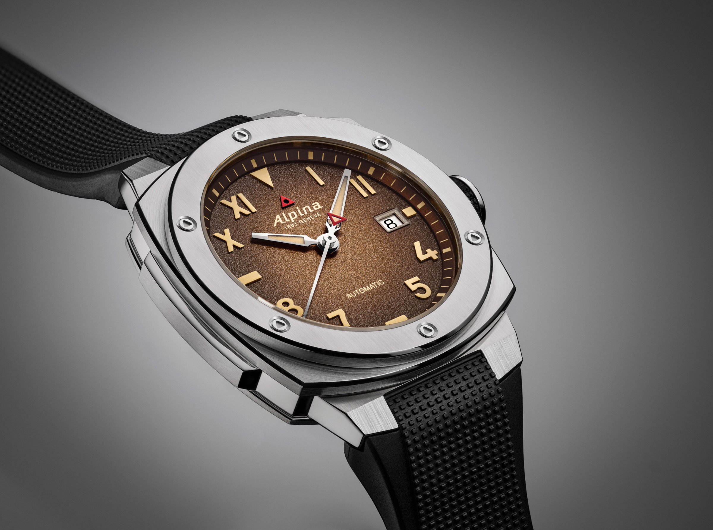 Alpina product 3